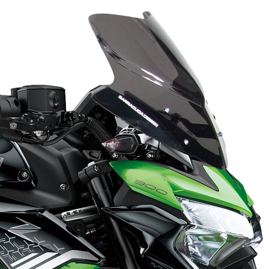 WINDSCHILD AEROSPORT KAWASAKI Z900