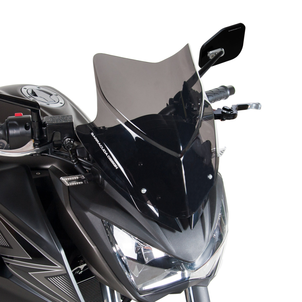 WINDSCHILD AEROSPORT  Kawasaki Z300