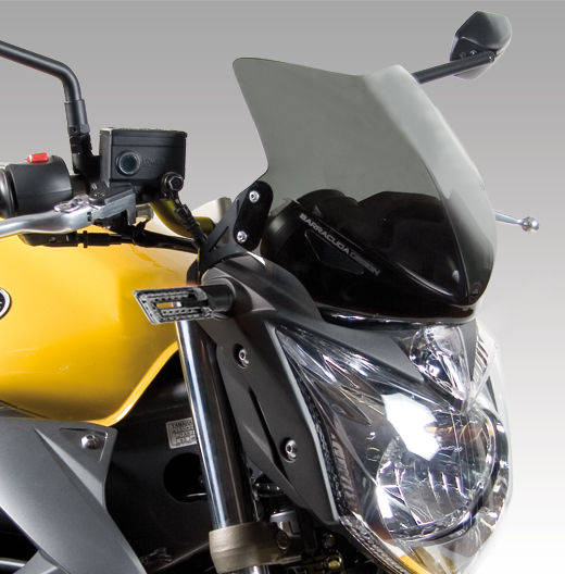 WINDSCHILD AEROSPORT Yamaha XJ6